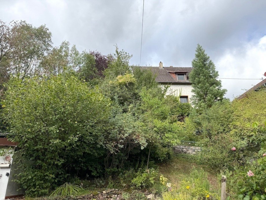 Aussenansicht Bild 4 Einfamilienhaus Flacht