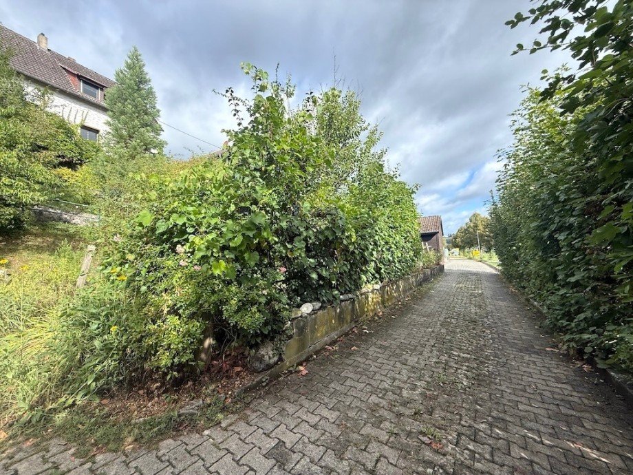 Zufahrt Einfamilienhaus Flacht