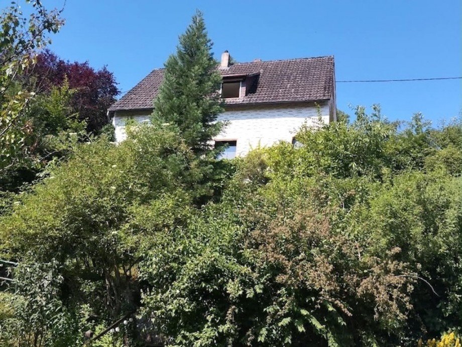 Aussenansicht Bild 2 Einfamilienhaus Flacht