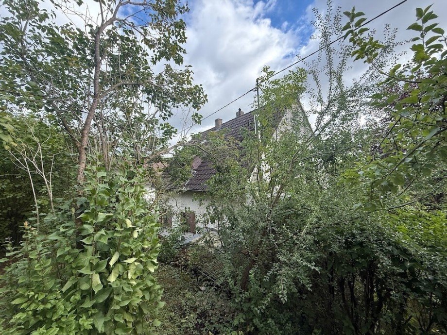Hanggarten Bild 3 Einfamilienhaus Flacht